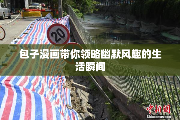包子漫画带你领略幽默风趣的生活瞬间