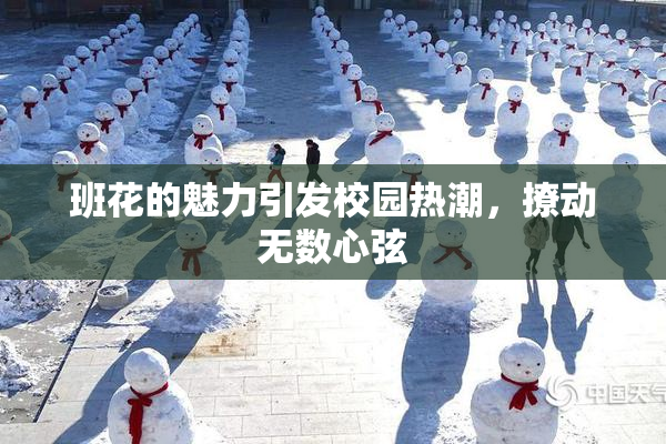 班花的魅力引发校园热潮，撩动无数心弦