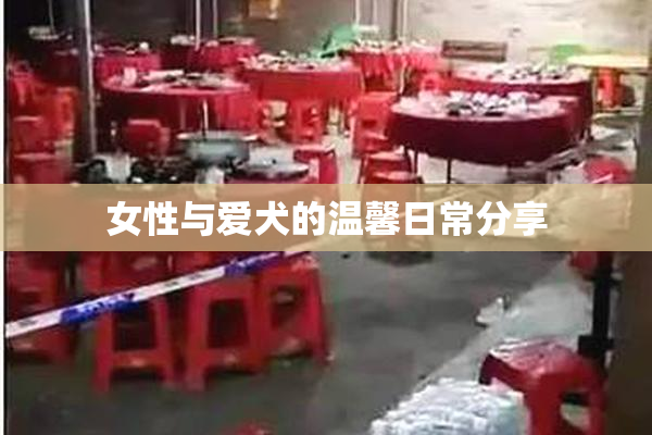 女性与爱犬的温馨日常分享