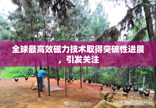 全球最高效磁力技术取得突破性进展，引发关注