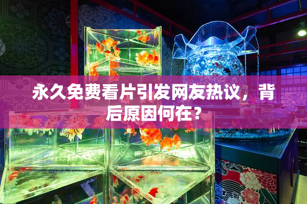 永久免费看片引发网友热议，背后原因何在？