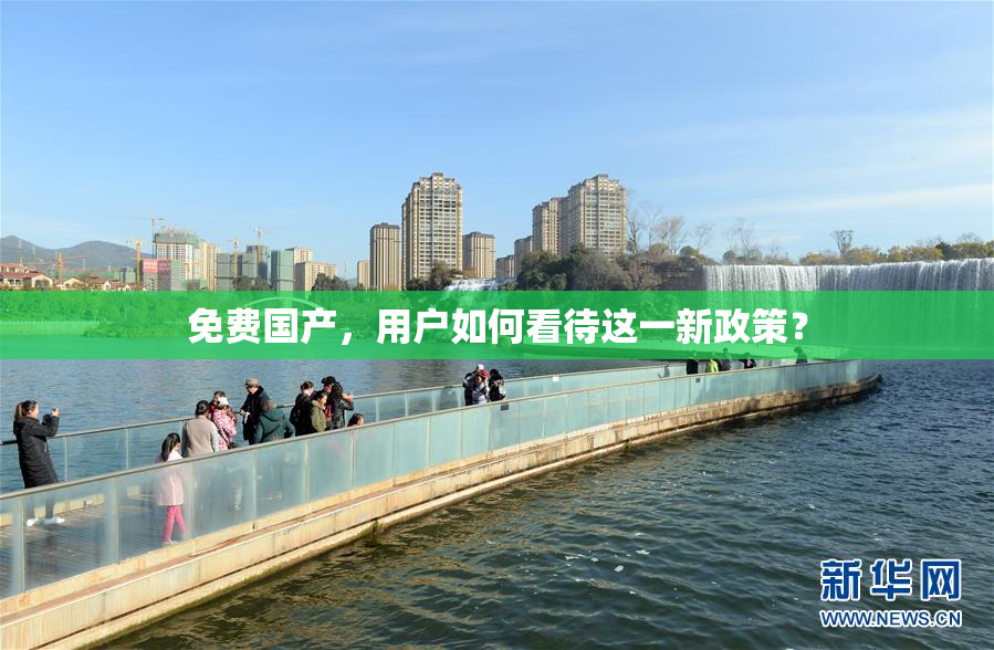 免费国产，用户如何看待这一新政策？