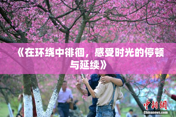 《在环绕中徘徊，感受时光的停顿与延续》