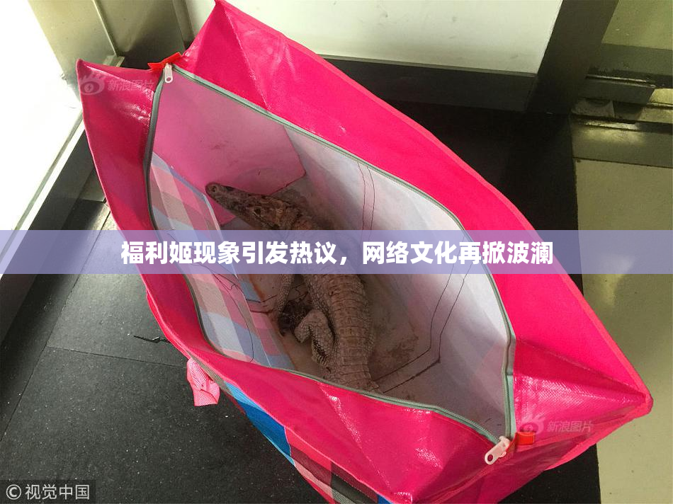 福利姬现象引发热议，网络文化再掀波澜