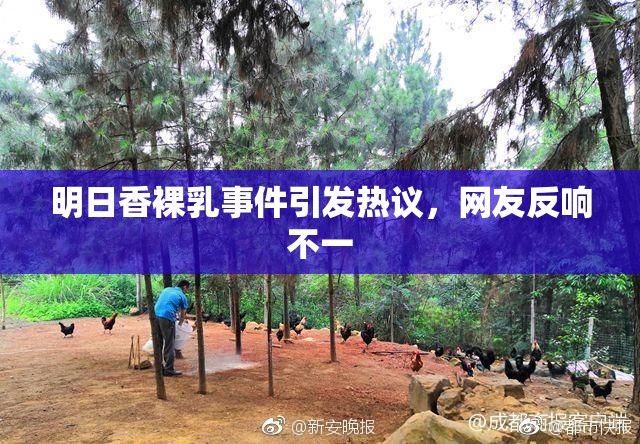 明日香裸乳事件引发热议，网友反响不一