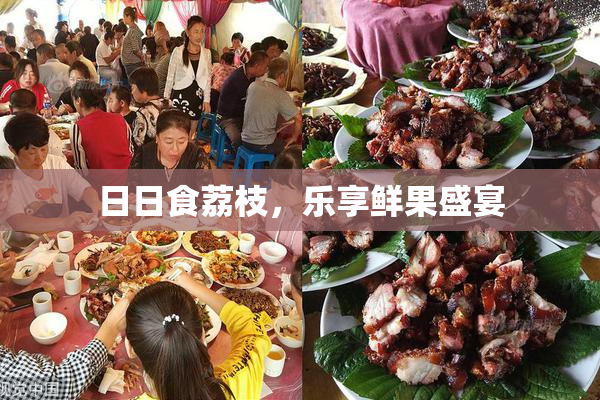 日日食荔枝，乐享鲜果盛宴