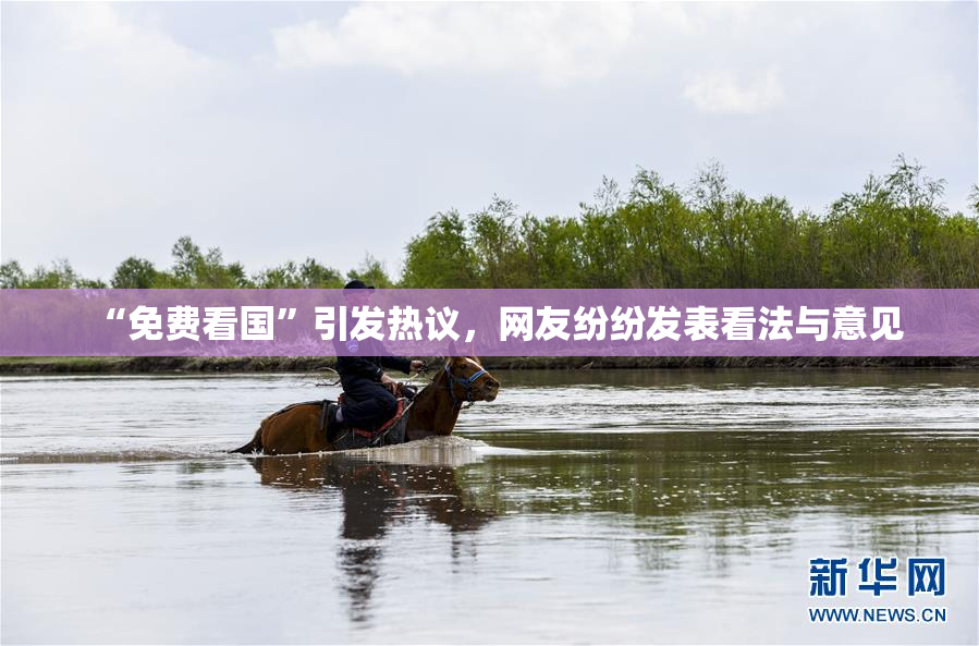 “免费看国”引发热议，网友纷纷发表看法与意见