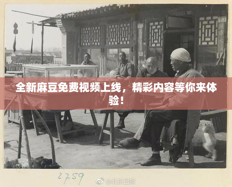 全新麻豆免费视频上线，精彩内容等你来体验！