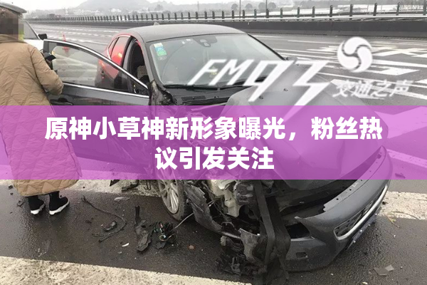 原神小草神新形象曝光，粉丝热议引发关注
