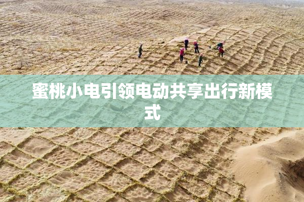 蜜桃小电引领电动共享出行新模式