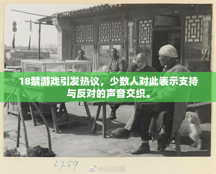 18禁游戏引发热议，少数人对此表示支持与反对的声音交织。