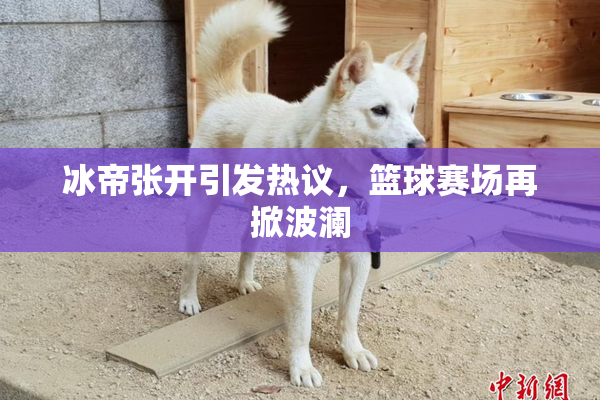 冰帝张开引发热议，篮球赛场再掀波澜