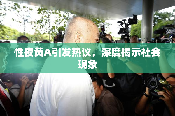 性夜黄A引发热议，深度揭示社会现象