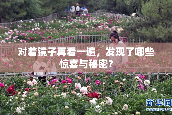 对着镜子再看一遍，发现了哪些惊喜与秘密？