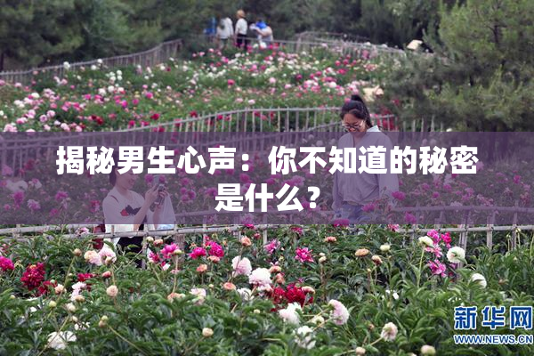 揭秘男生心声：你不知道的秘密是什么？