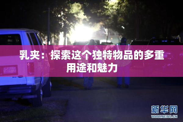 乳夹：探索这个独特物品的多重用途和魅力