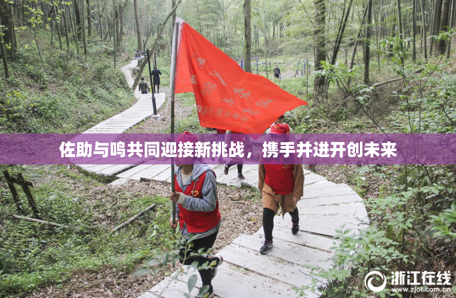 佐助与鸣共同迎接新挑战，携手并进开创未来