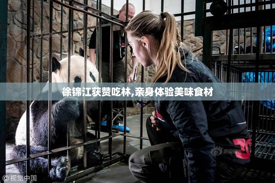 徐锦江获赞吃林,亲身体验美味食材