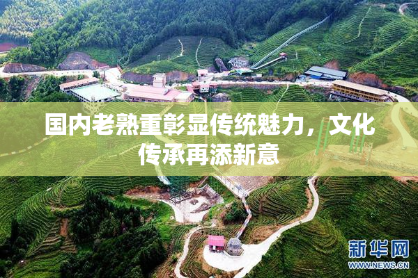 国内老熟重彰显传统魅力，文化传承再添新意
