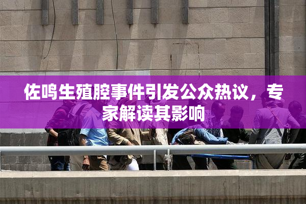 佐鸣生殖腔事件引发公众热议，专家解读其影响