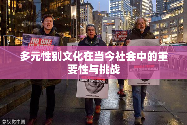 多元性别文化在当今社会中的重要性与挑战