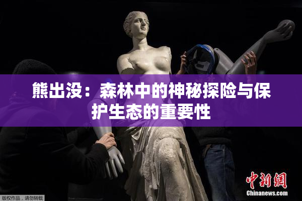 熊出没：森林中的神秘探险与保护生态的重要性