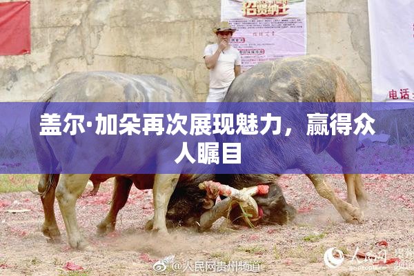 盖尔·加朵再次展现魅力，赢得众人瞩目
