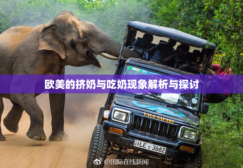 欧美的挤奶与吃奶现象解析与探讨