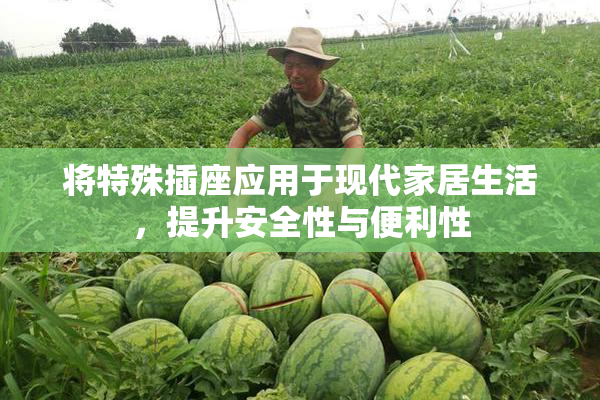 将特殊插座应用于现代家居生活，提升安全性与便利性