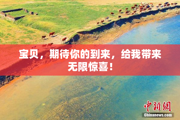 宝贝，期待你的到来，给我带来无限惊喜！