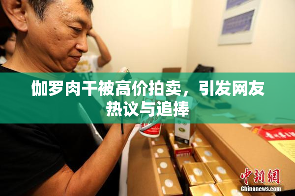 伽罗肉干被高价拍卖，引发网友热议与追捧