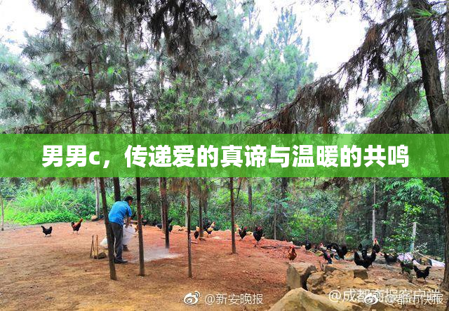 男男c，传递爱的真谛与温暖的共鸣