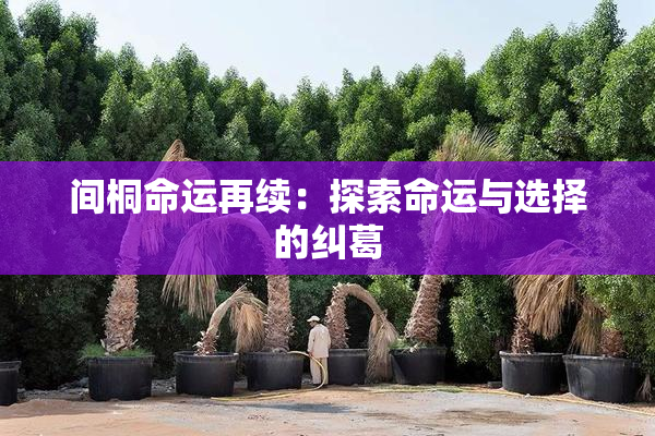 间桐命运再续：探索命运与选择的纠葛