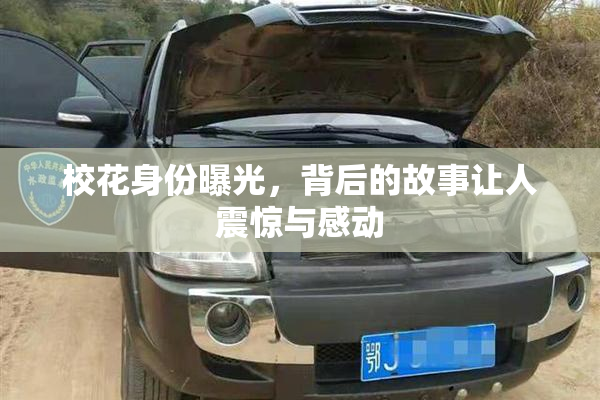 校花身份曝光，背后的故事让人震惊与感动