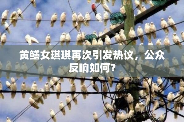 黄鳝女琪琪再次引发热议，公众反响如何？