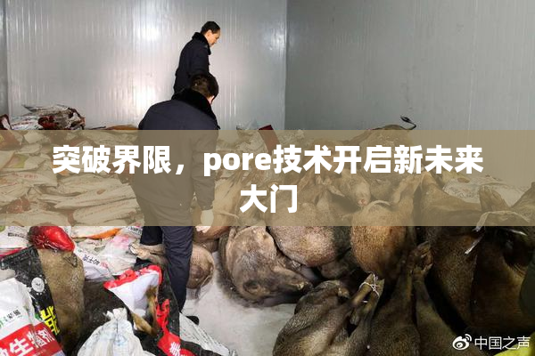 突破界限，pore技术开启新未来大门