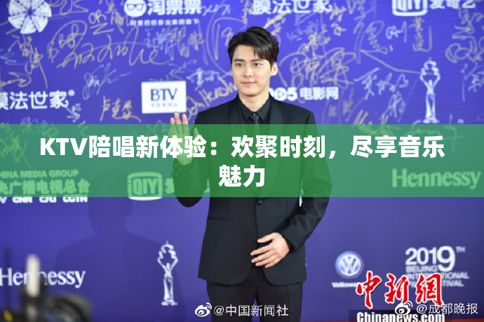 KTV陪唱新体验：欢聚时刻，尽享音乐魅力