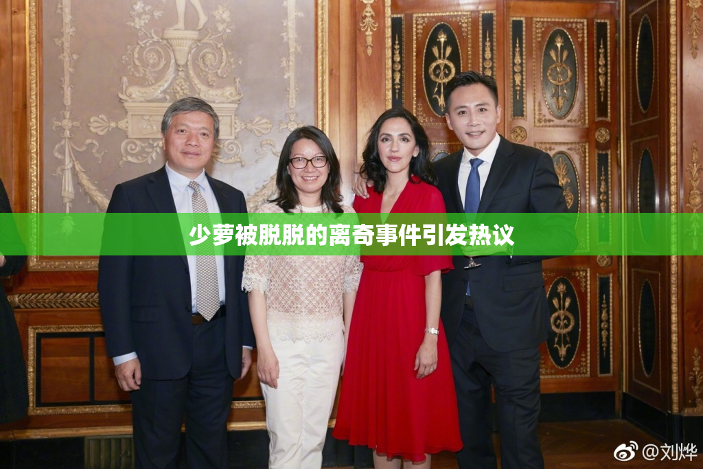 少萝被脱脱的离奇事件引发热议