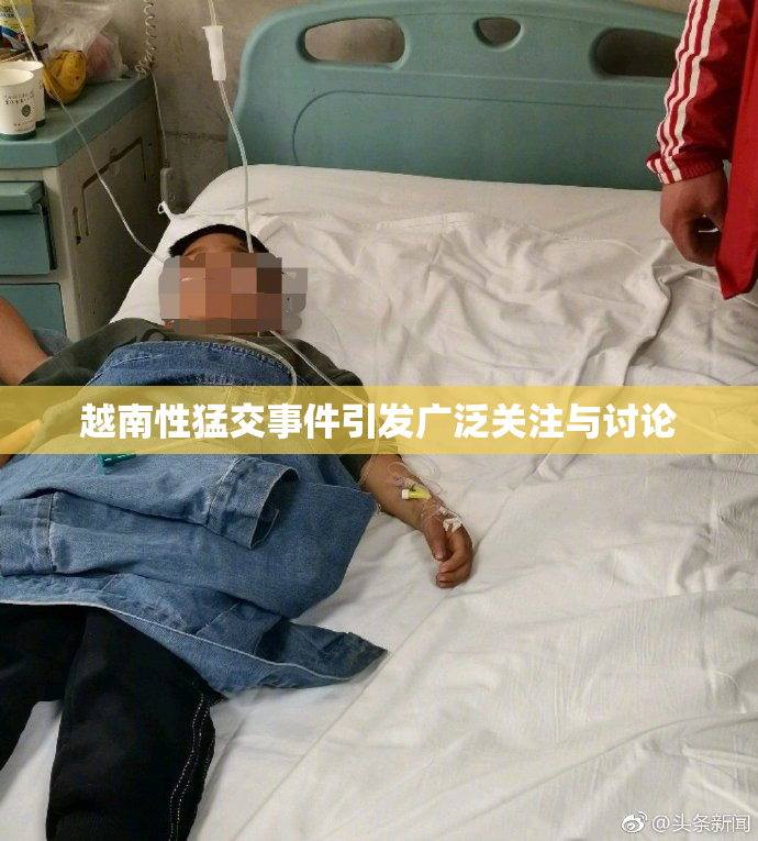 越南性猛交事件引发广泛关注与讨论