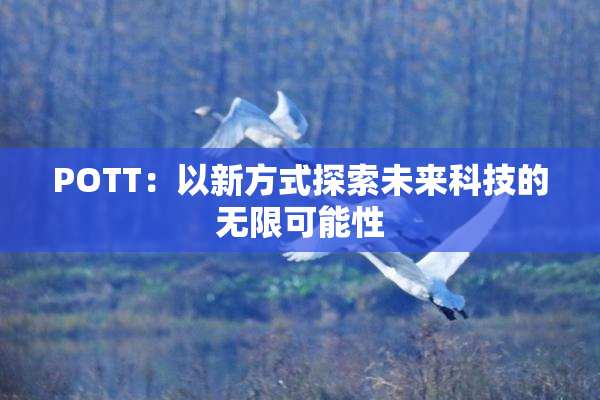 POTT：以新方式探索未来科技的无限可能性