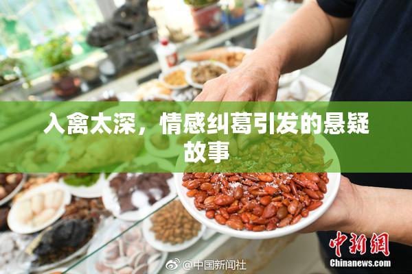 入禽太深，情感纠葛引发的悬疑故事