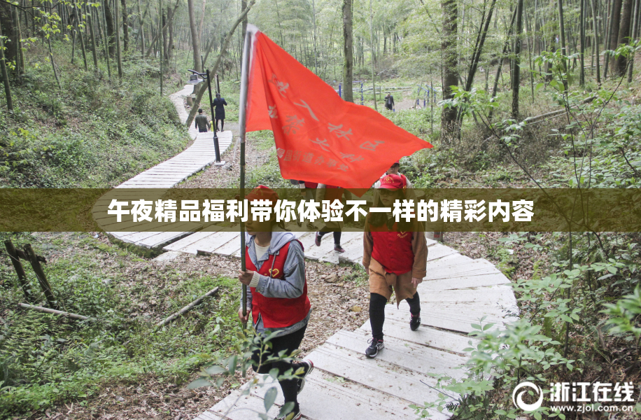 午夜精品福利带你体验不一样的精彩内容