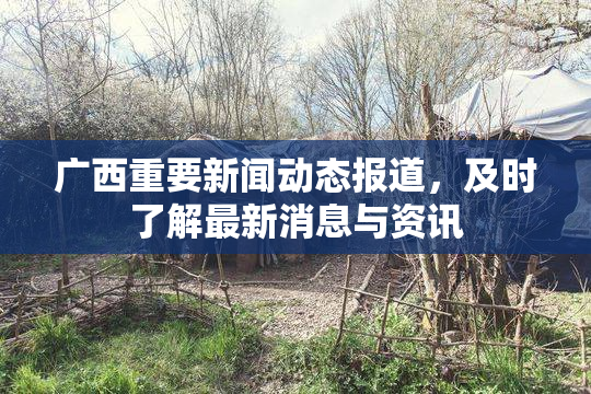 广西重要新闻动态报道，及时了解最新消息与资讯