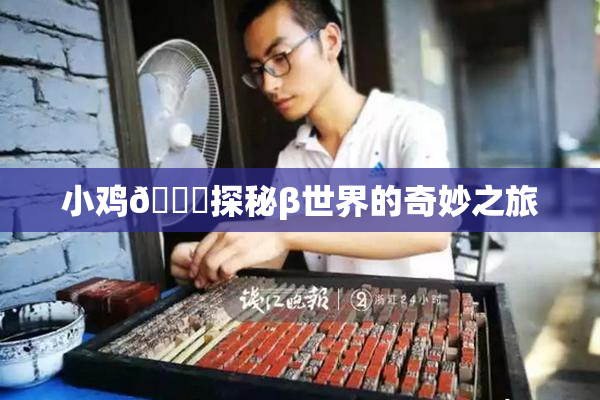 小鸡🐔探秘β世界的奇妙之旅