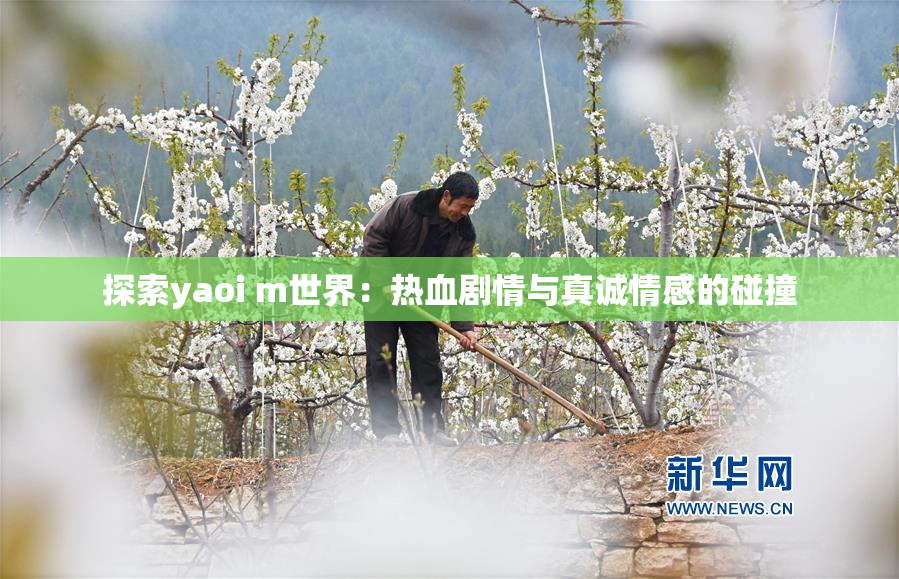探索yaoi m世界：热血剧情与真诚情感的碰撞