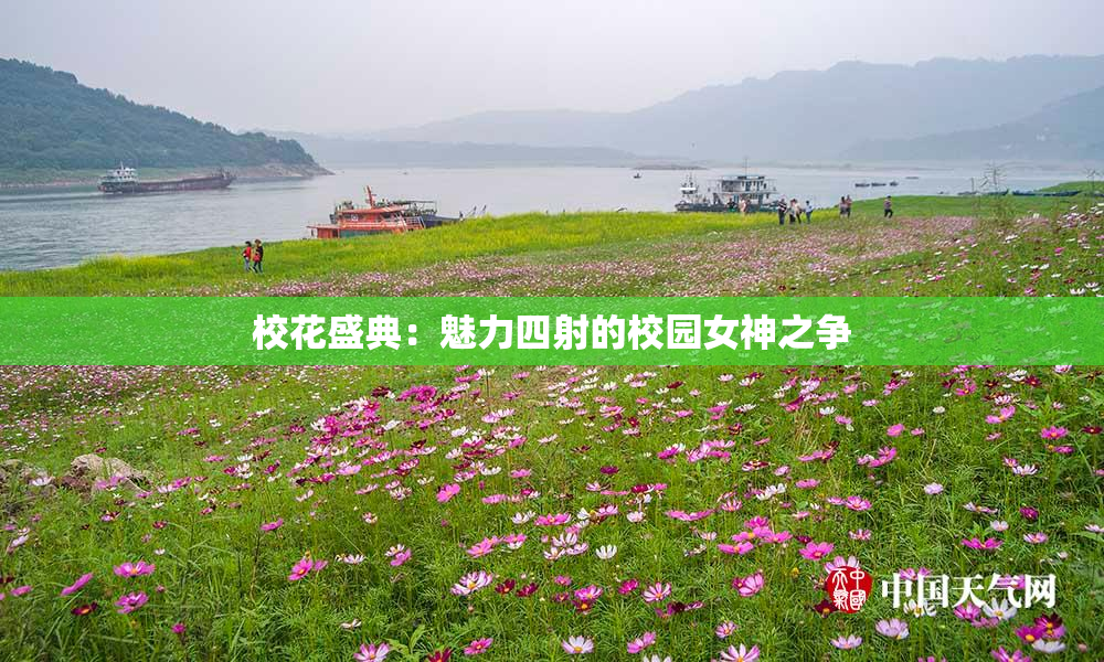 校花盛典：魅力四射的校园女神之争