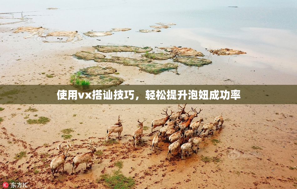 使用vx搭讪技巧，轻松提升泡妞成功率