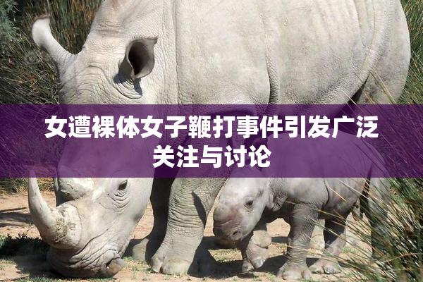 女遭裸体女子鞭打事件引发广泛关注与讨论