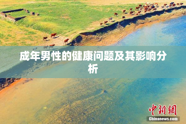 成年男性的健康问题及其影响分析