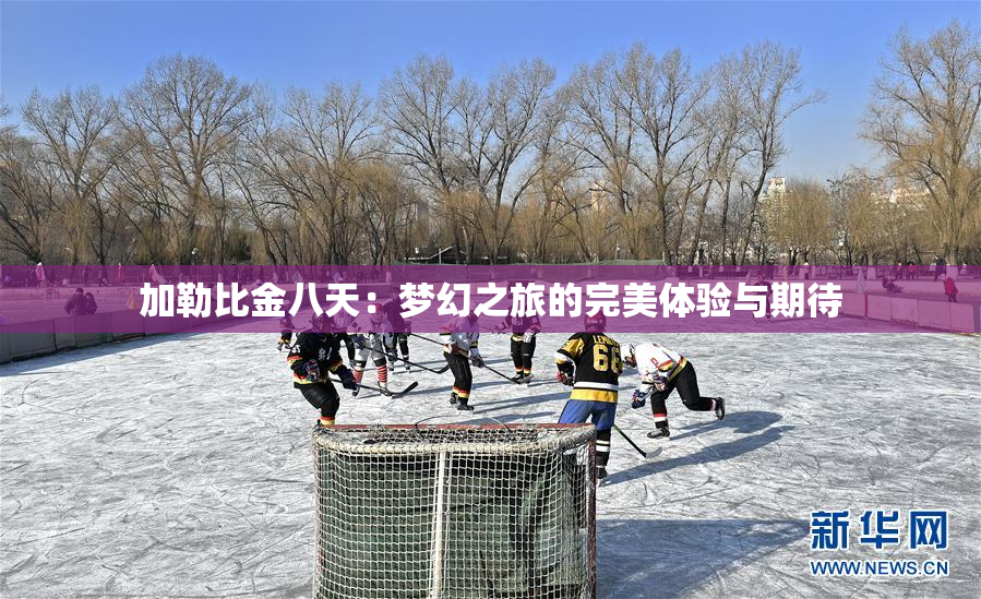 加勒比金八天：梦幻之旅的完美体验与期待